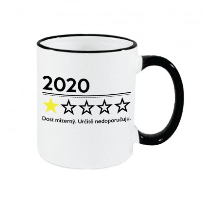 Hodnocení roku 2020